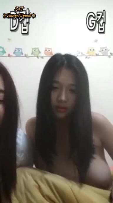 Top 40 Viral Video Of All Time New Global Bocil